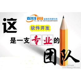 松原*開發(fā)*軟件公司